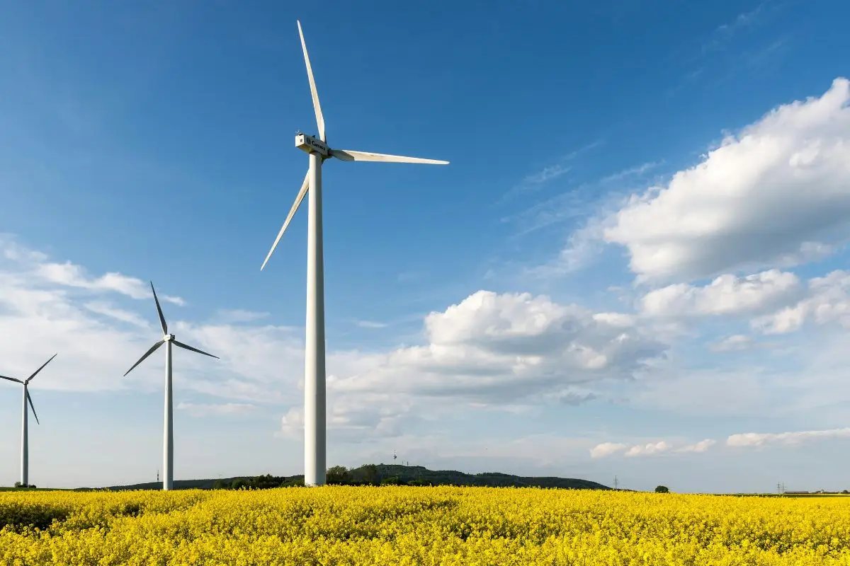 Nexcap Off-Grid Power Systems for 24/7 Reliable Power